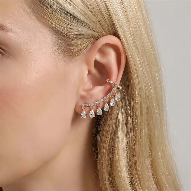 Roselisse Teardrop Tassel Stud Earrings – Women’s Pink Zircon-Style Earrings | Elegant Curved Drop Design | Wedding Jewellery